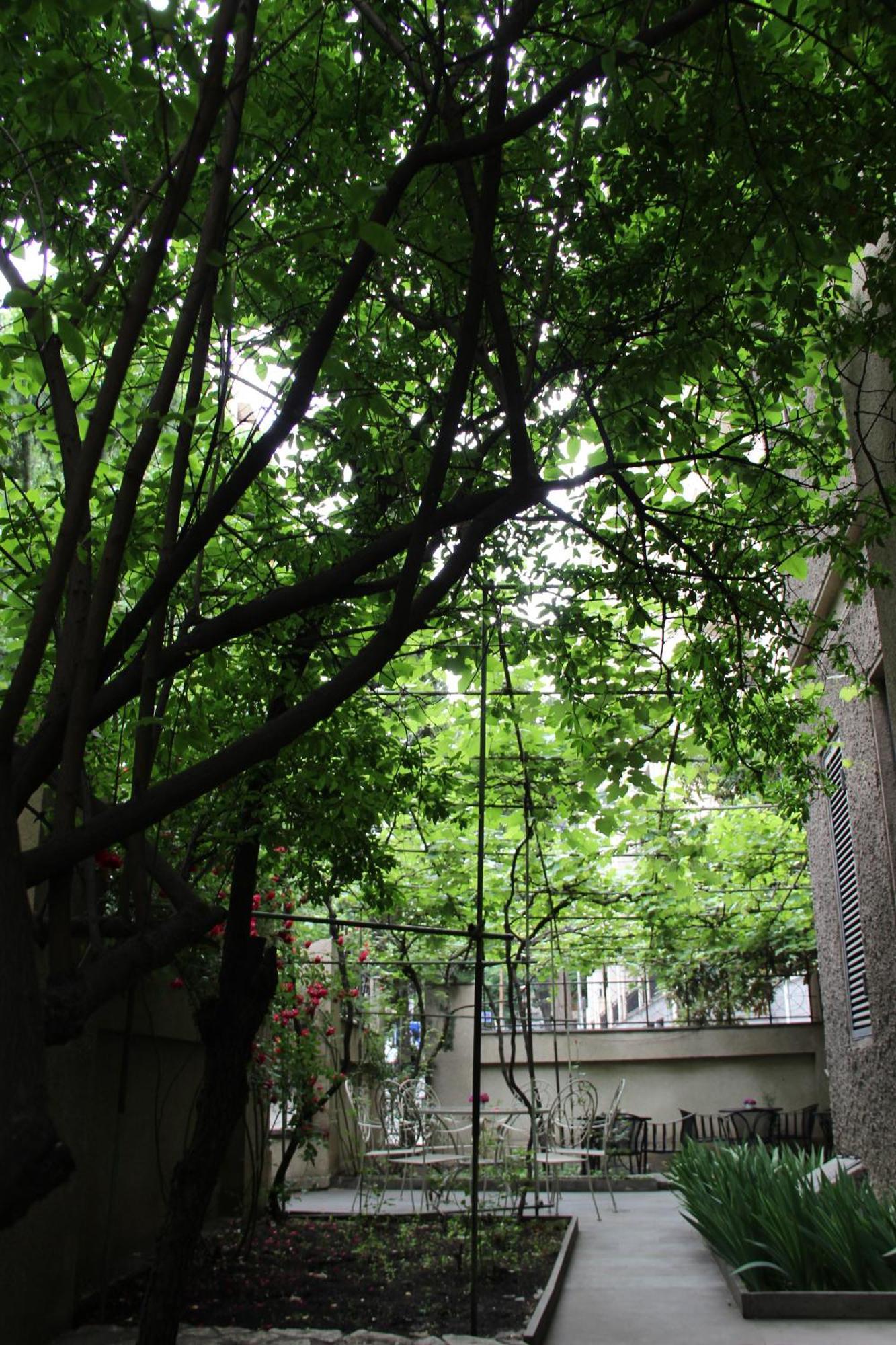 Iliani Hotel Tbilisi Exteriör bild